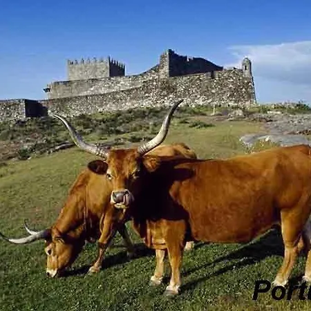 Casa vacanze Casa Teno *